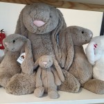 Bashful Tulip Grey Bunny Group