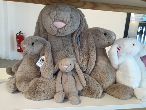 Bashful Tulip Grey Bunny Group