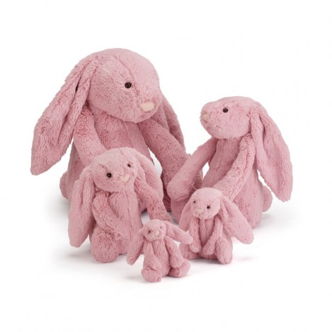 Bashful Tulip Pink Bunny Group